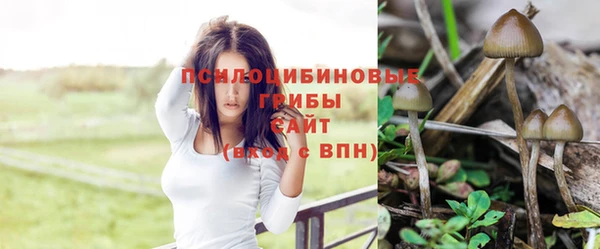 MDMA Няндома