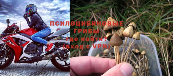 мяу мяу мука Новозыбков