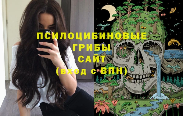 ALPHA-PVP Новодвинск