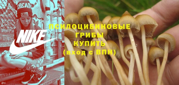 мяу мяу мука Новозыбков