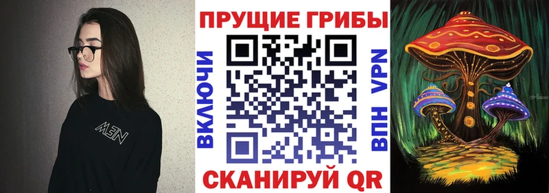 Галлюциногенные грибы Cubensis  Приволжск 